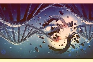 中汽协:1月商用车产销分别完成32.7万辆和32.4万辆同比分别增长66
